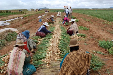 Defensoría del Pueblo recomienda aplicar medidas económicas efectivas para la población en general con énfasis en el área rural