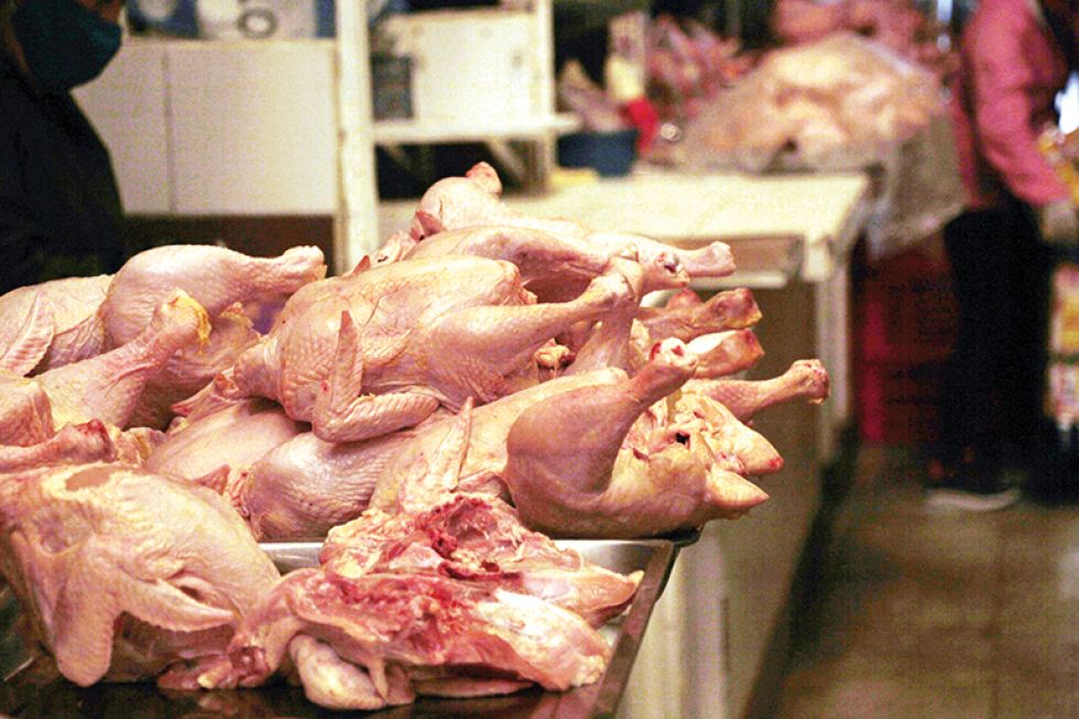 Defensoría del Pueblo convoca a reunión interinstitucional por conflicto en la comercialización de pollo en Sucre