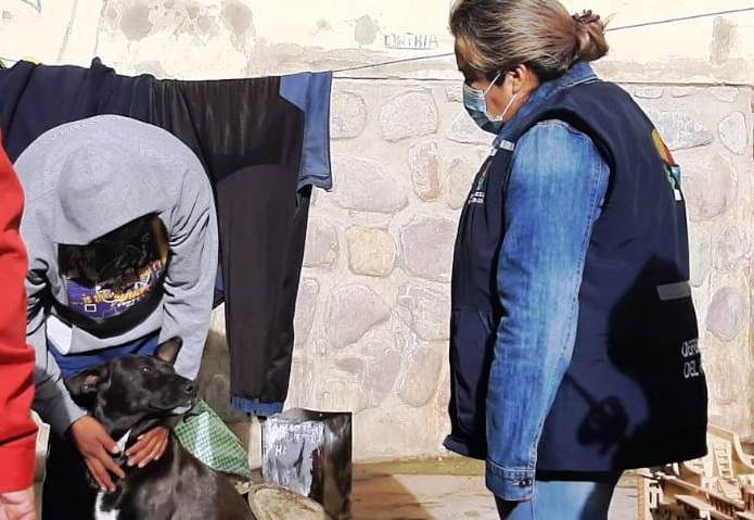 DEFENSORÍA DEL PUEBLO, ZOONOSIS Y ORGANIZACIONES DE ANIMALISTAS CONCLUYEN CENSO DE CANES EN EL RECINTO PENITENCIARIO DE MORROS BLANCOS DE TARIJA