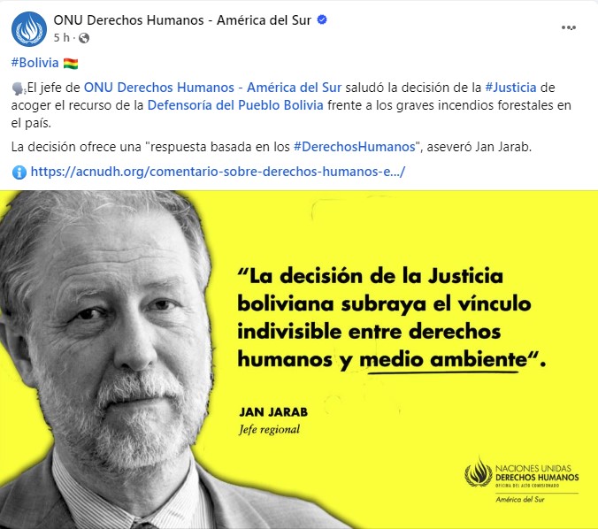 Representante de la ACNUDH para América del Sur señala que tutela concedida a la Defensoría del Pueblo por los incendios forestales es “un hito regional”