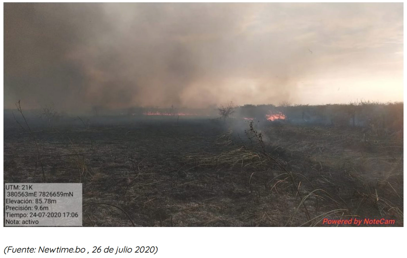 Defensoría del Pueblo demanda al Estado acciones efectivas para evitar que el incendio en Otuquis se propague nuevamente