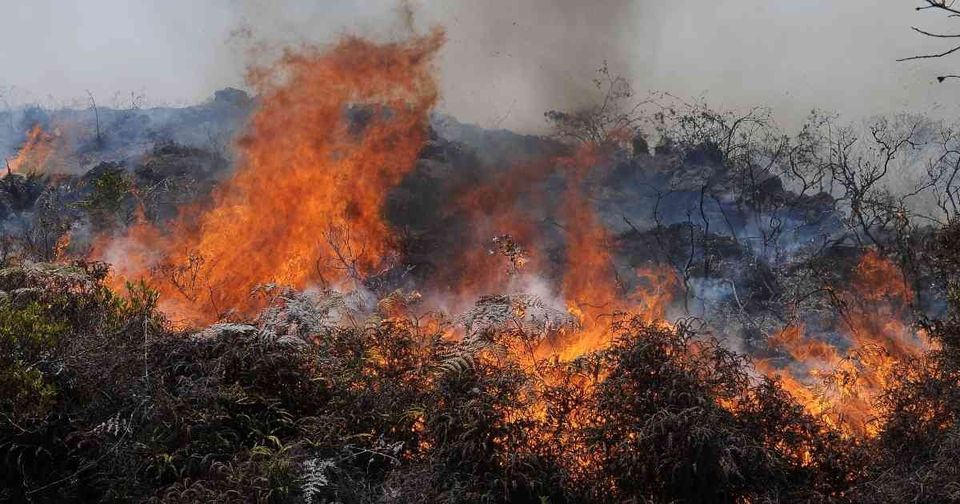 DEFENSORÍA DEL PUEBLO EXIGE ATENCIÓN INMEDIATA Y DOTACIÓN DE EQUIPAMIENTO E INSUMOS A BOMBEROS Y VOLUNTARIOS QUE LUCHAN CONTRA EL FUEGO EN EL AGUARAGÜE