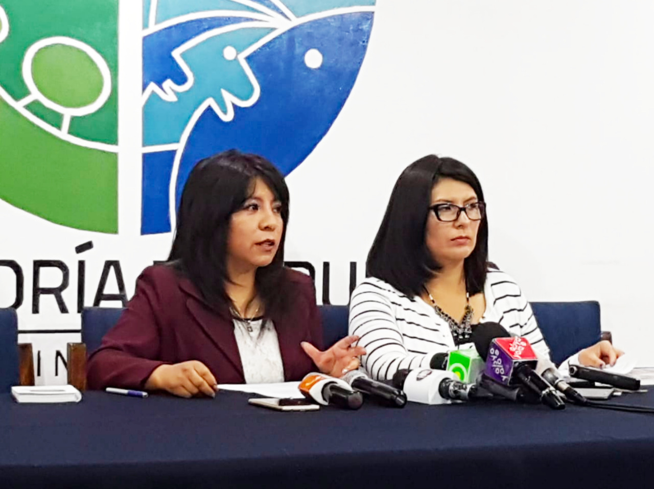 DEFENSORÍA DEL PUEBLO PRESENTA PROYECTO DE LEY PARA CREAR UN BONO Y DAR ASISTENCIA INTEGRAL A HIJAS E HIJOS VÍCTIMAS DE FEMINICIDIO